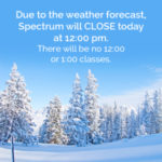 snow-cancellation